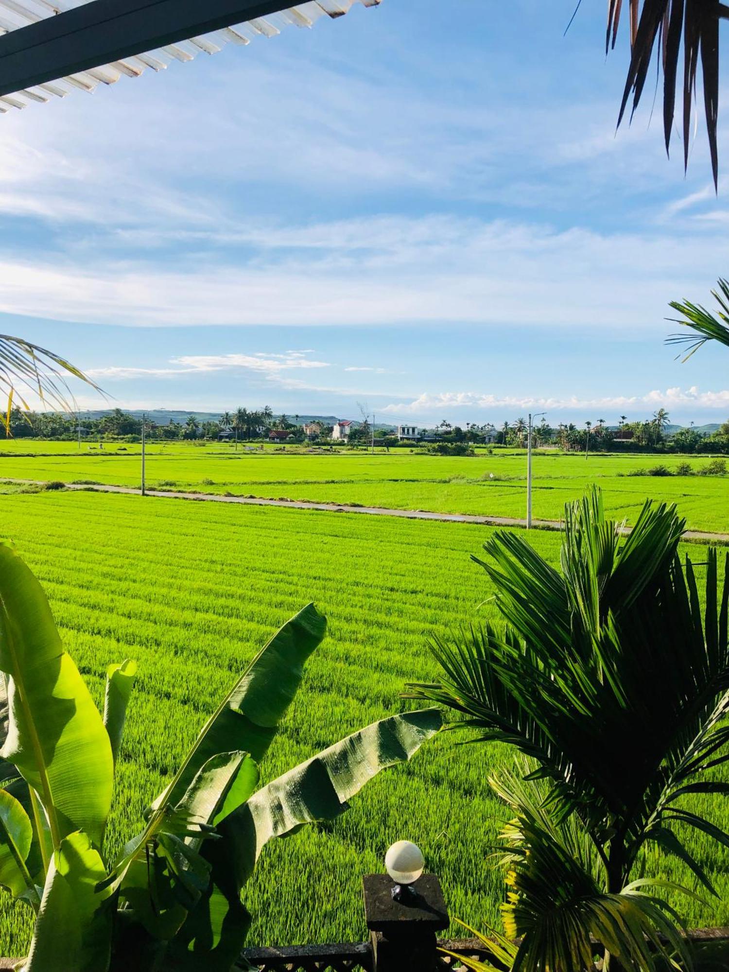 Countryside Homestay Quang Ngai Exteriér fotografie